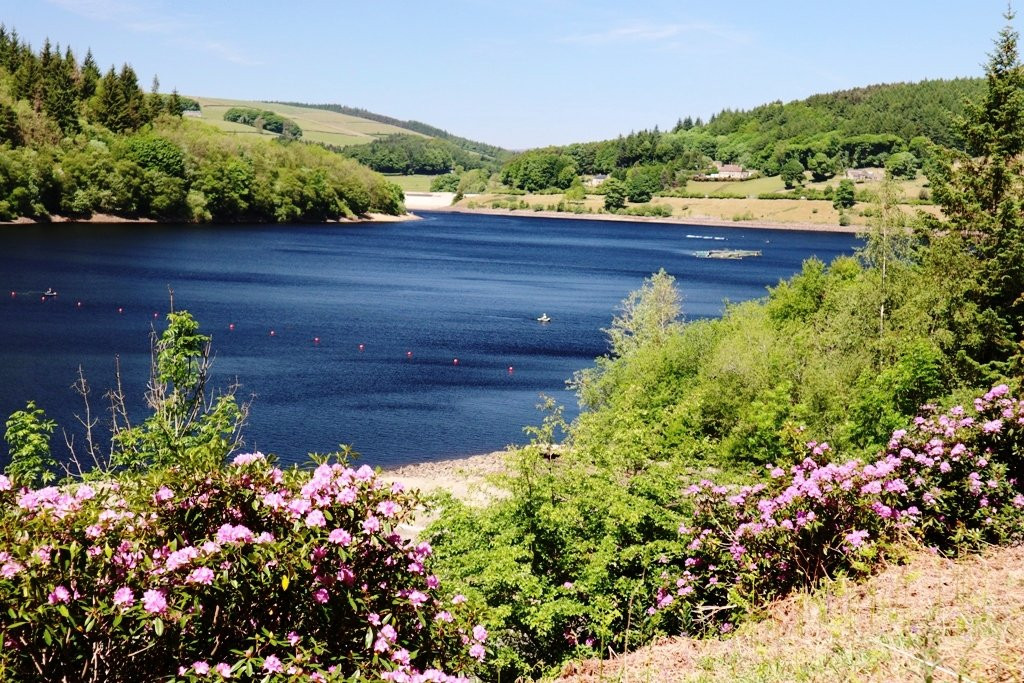 OYO Ladybower Inn主图
