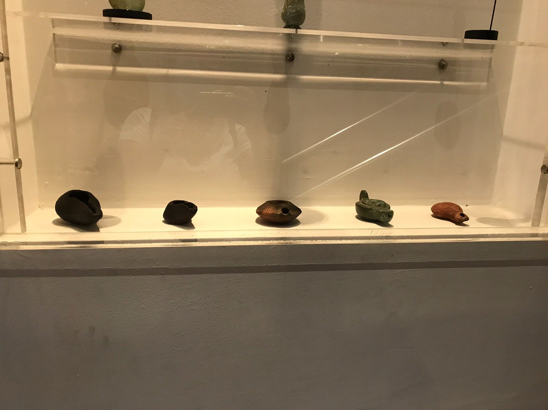 Museo Dell'olio D'oliva景点图片