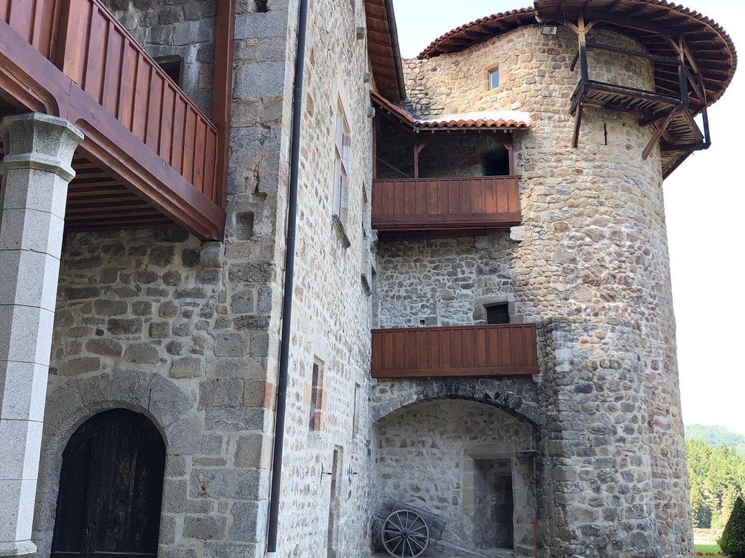 Chateau de la Cheze景点图片