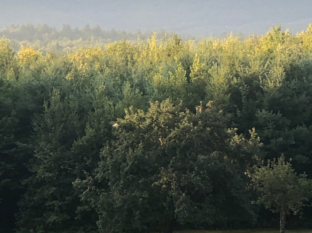 Franconia Notch Guest House主图