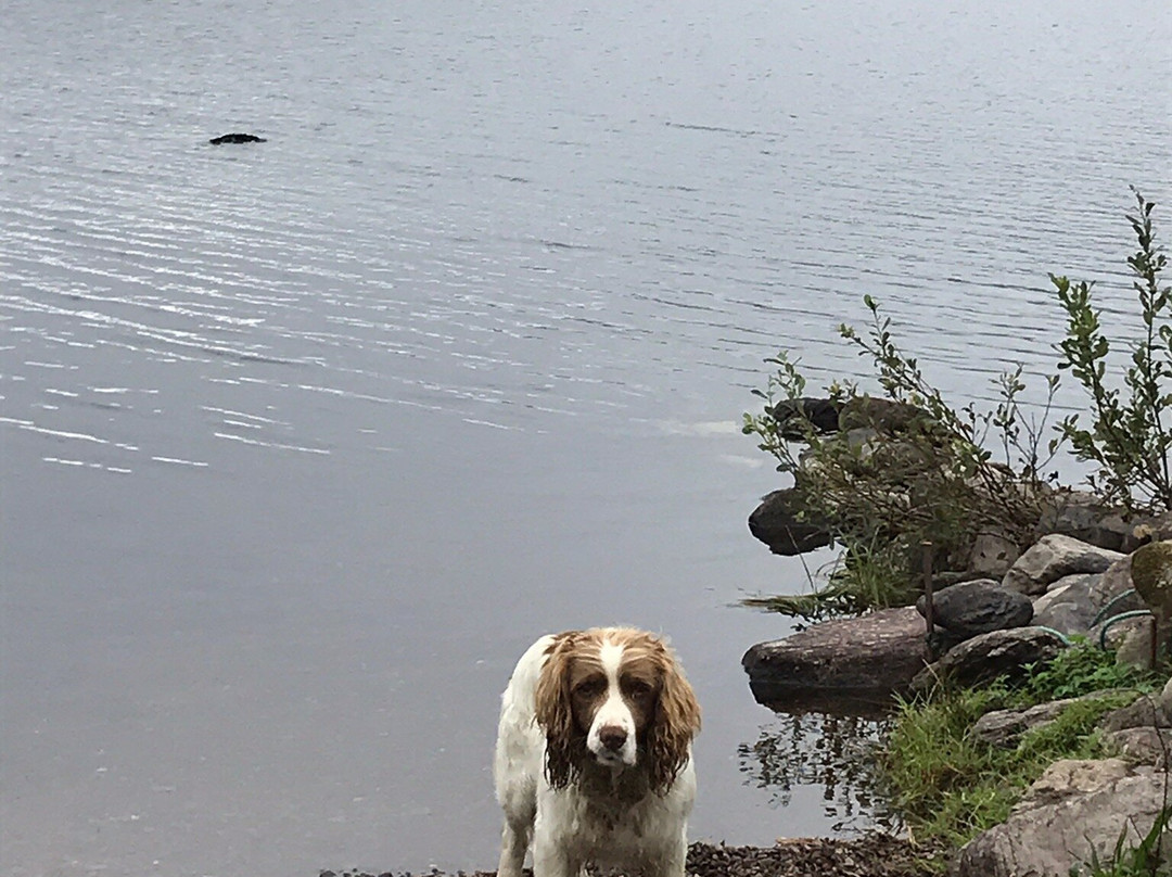 Lough Currane-Waterville必去景点