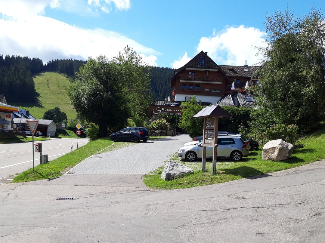 舒尔栋酒店主图