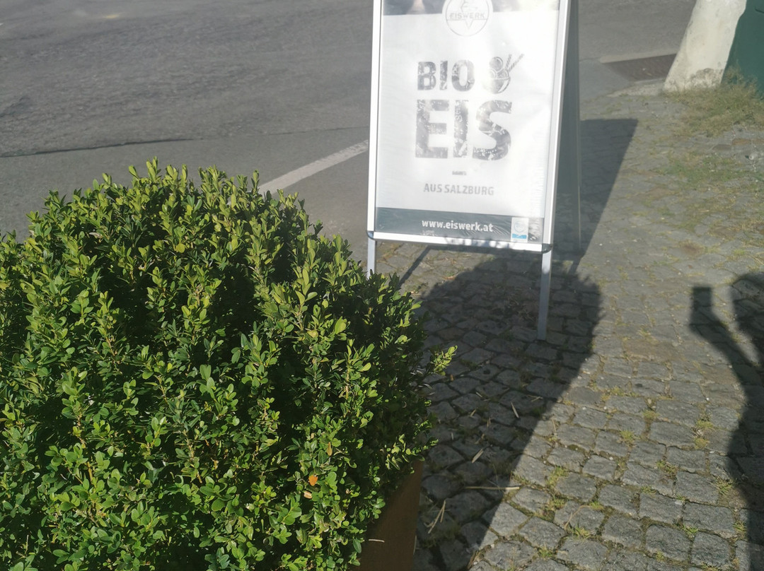 Hoftaverne Ziegelbock主图