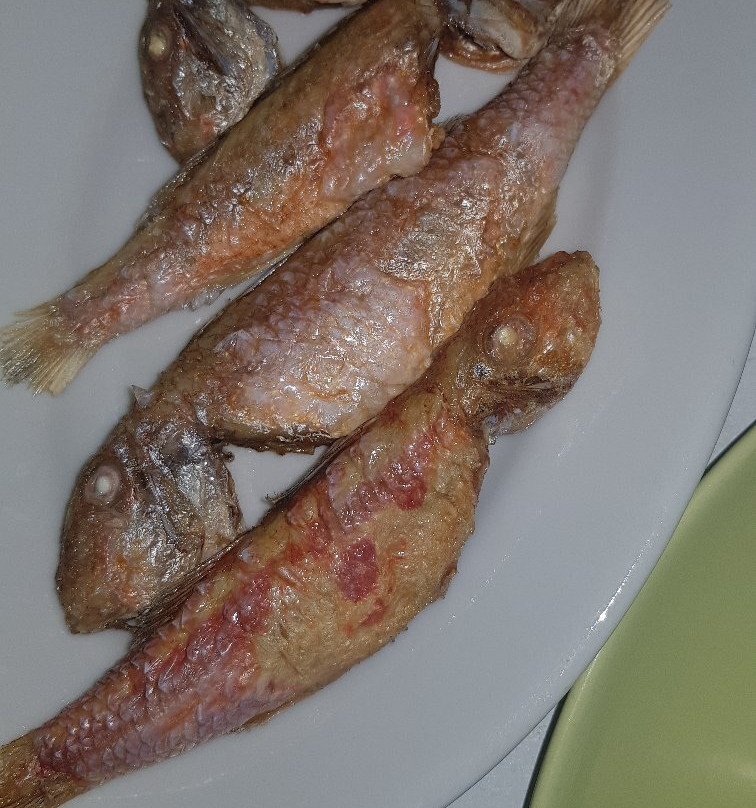 Green Gallery Hotel主图