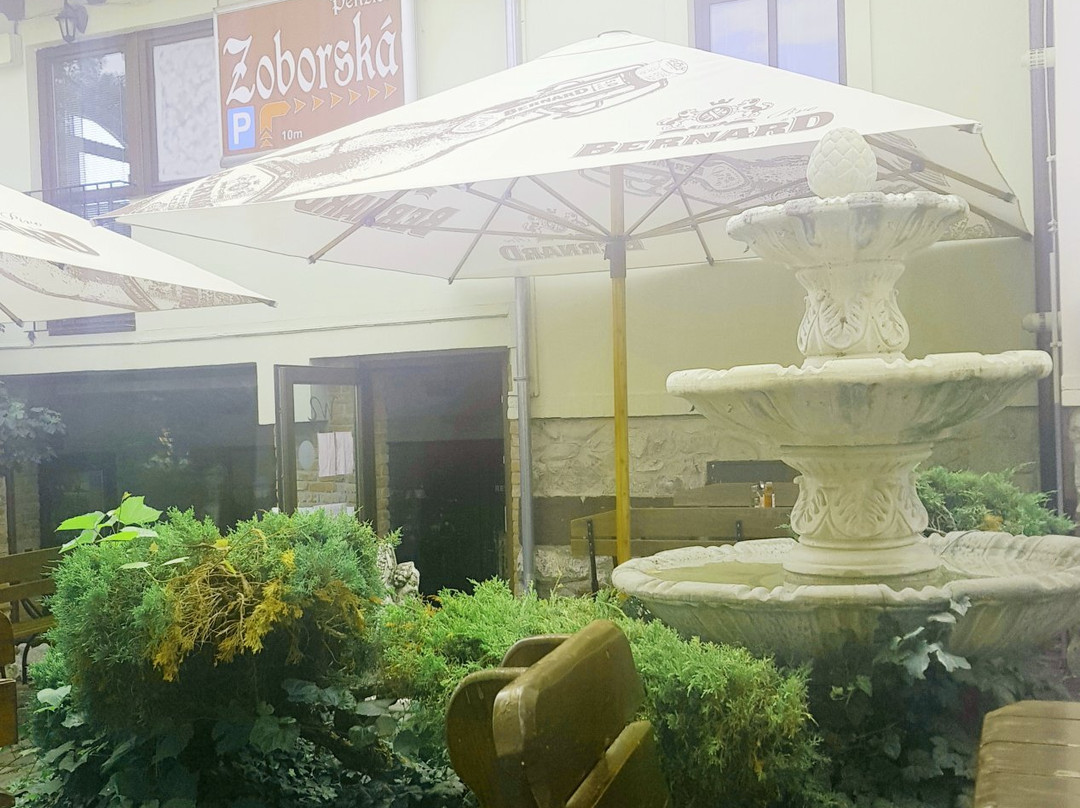 Penzion&Wellness Zoborska主图