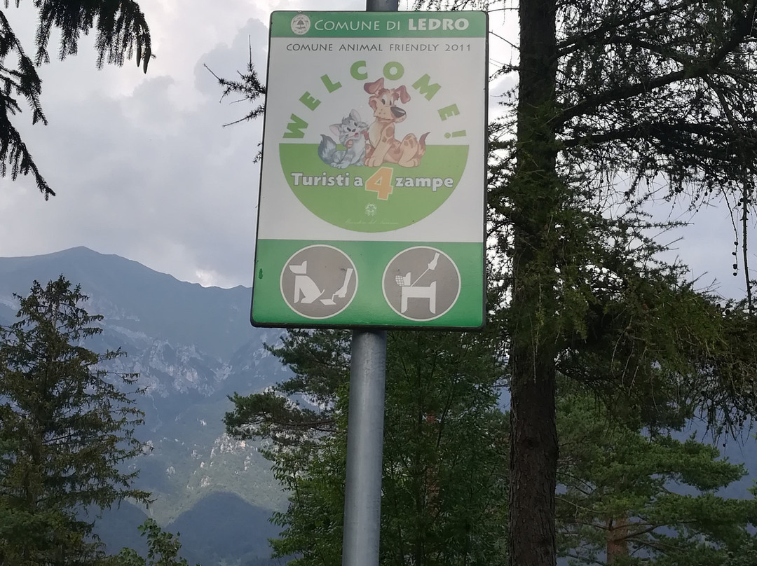 Spiaggia per Cani景点图片