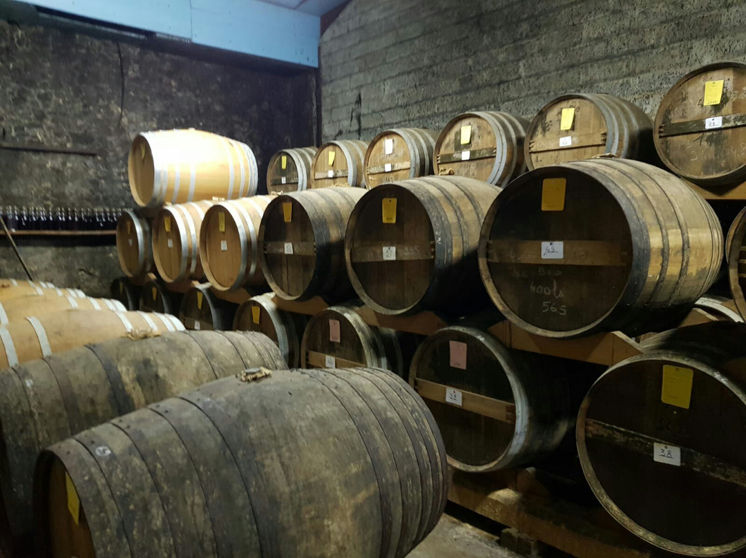 Domaine De Paguy主图