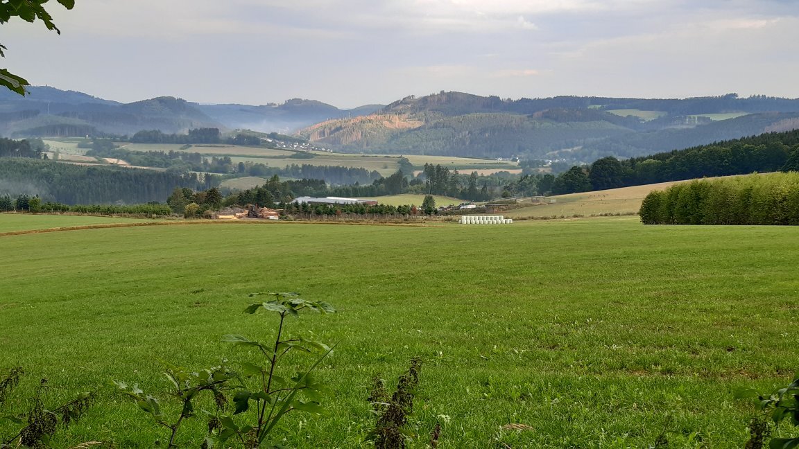 Waldhotel Einstein-官方