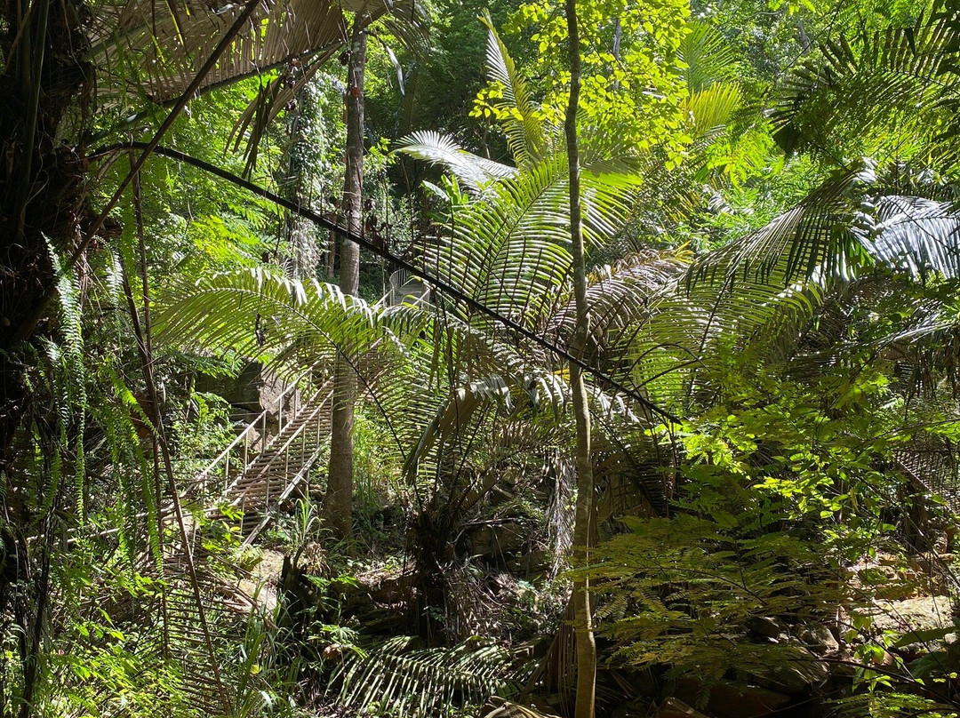 Namtok Pha Rom Yen-万莱必去景点