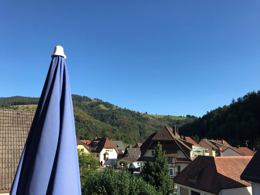 Hof酒店住宿-Hotel Gasthof Vier Lowen