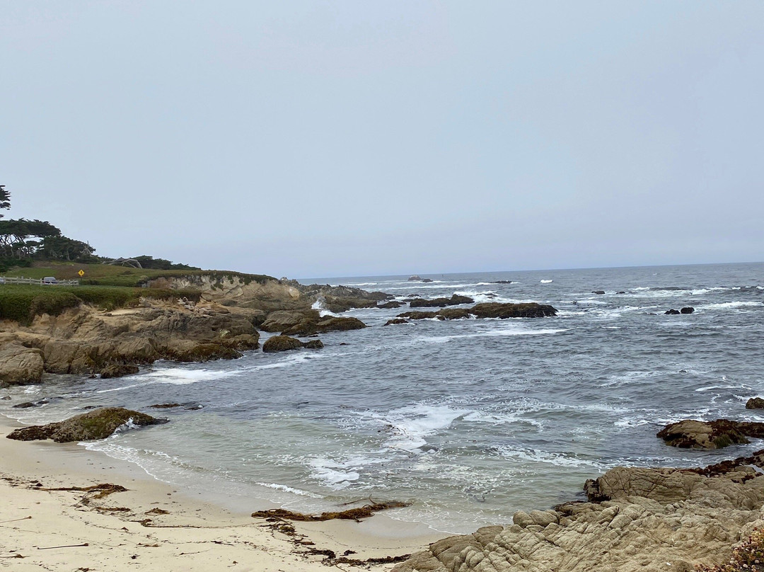 Fanshell Overlook-圆石滩必去景点