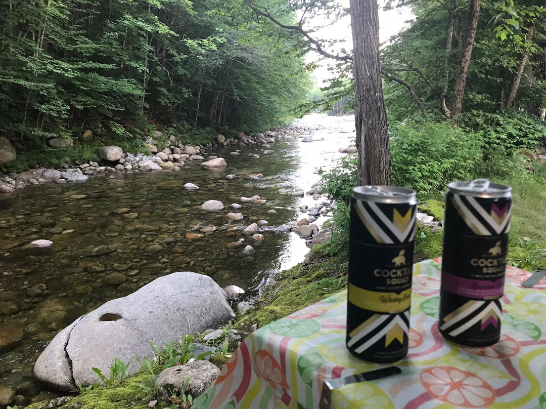 Mt. Coolidge Motel主图