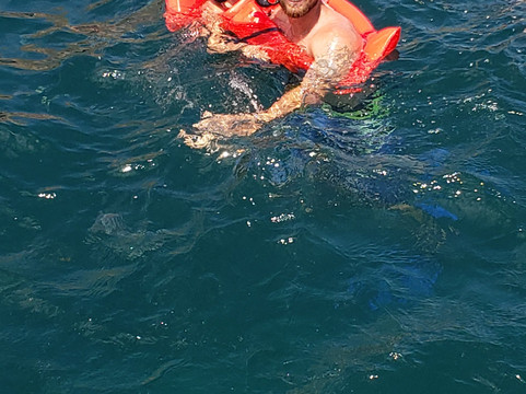 Activities Los Cabos-卡波圣卢卡斯必去景点