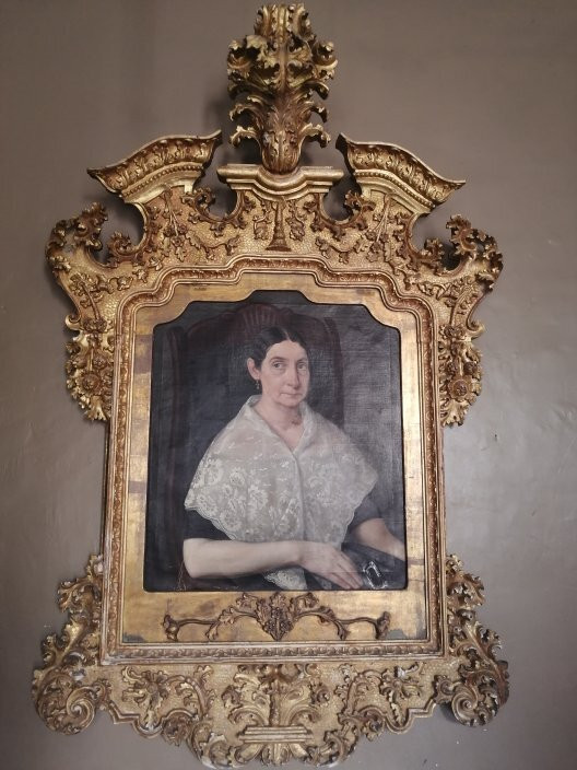 Museo Salvador Ferrando景点图片