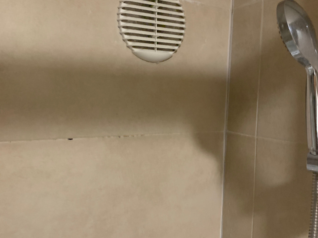 Hotel Don Pepe主图