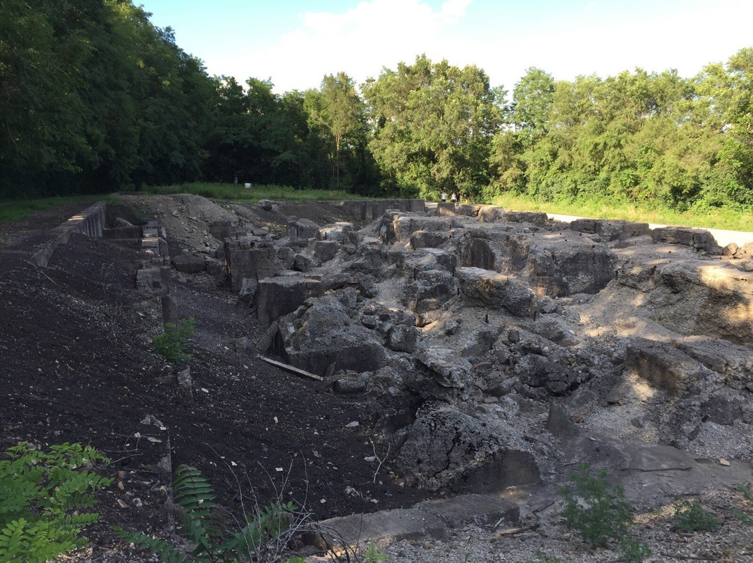 Joliet Iron Works Historic Site景点图片