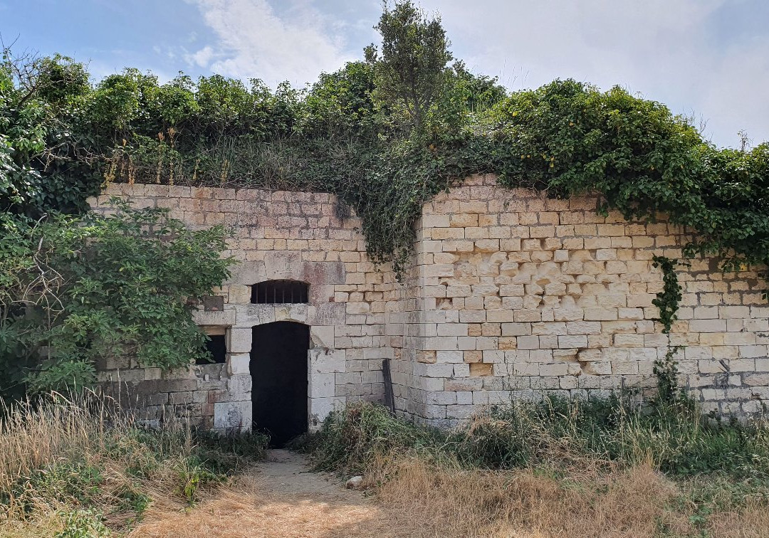 Pointe de Suzac景点图片