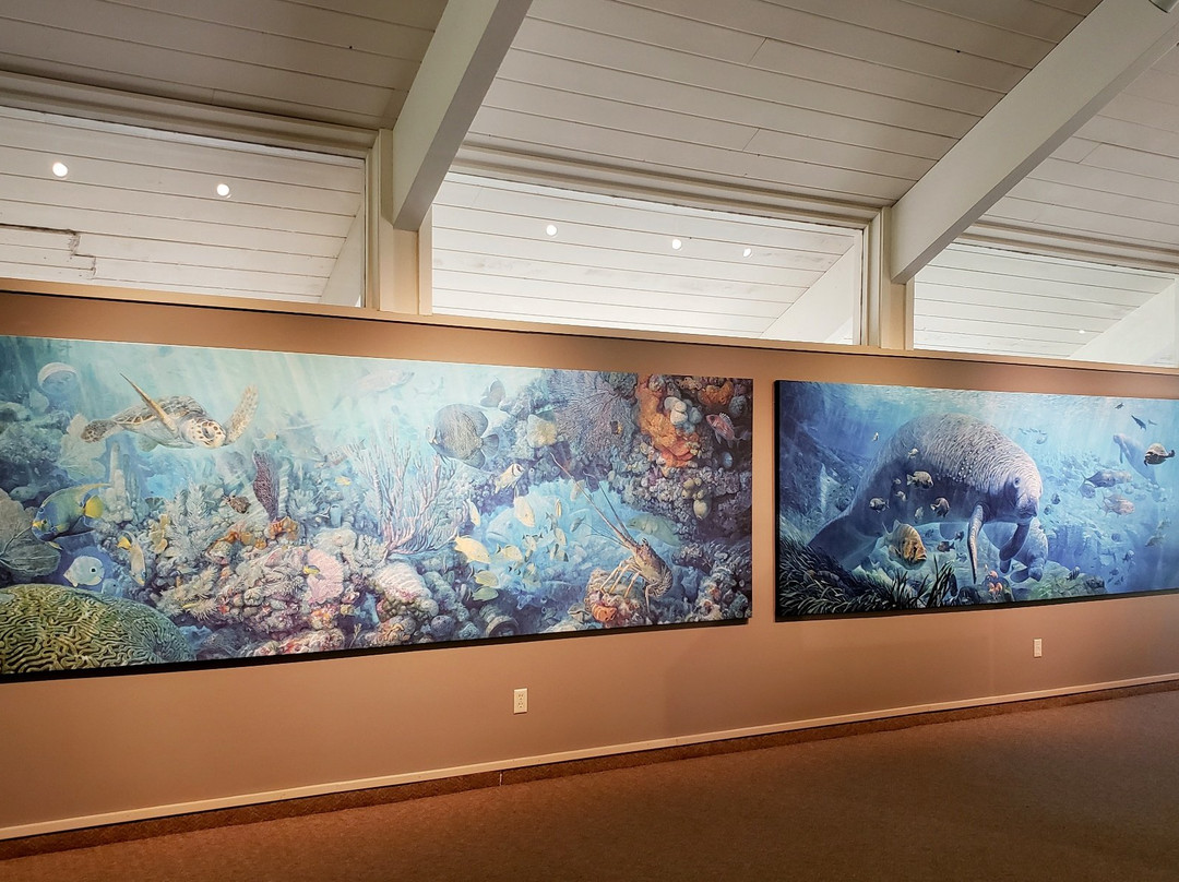 Tarpon Springs Heritage Museum-塔彭斯普林斯必去景点