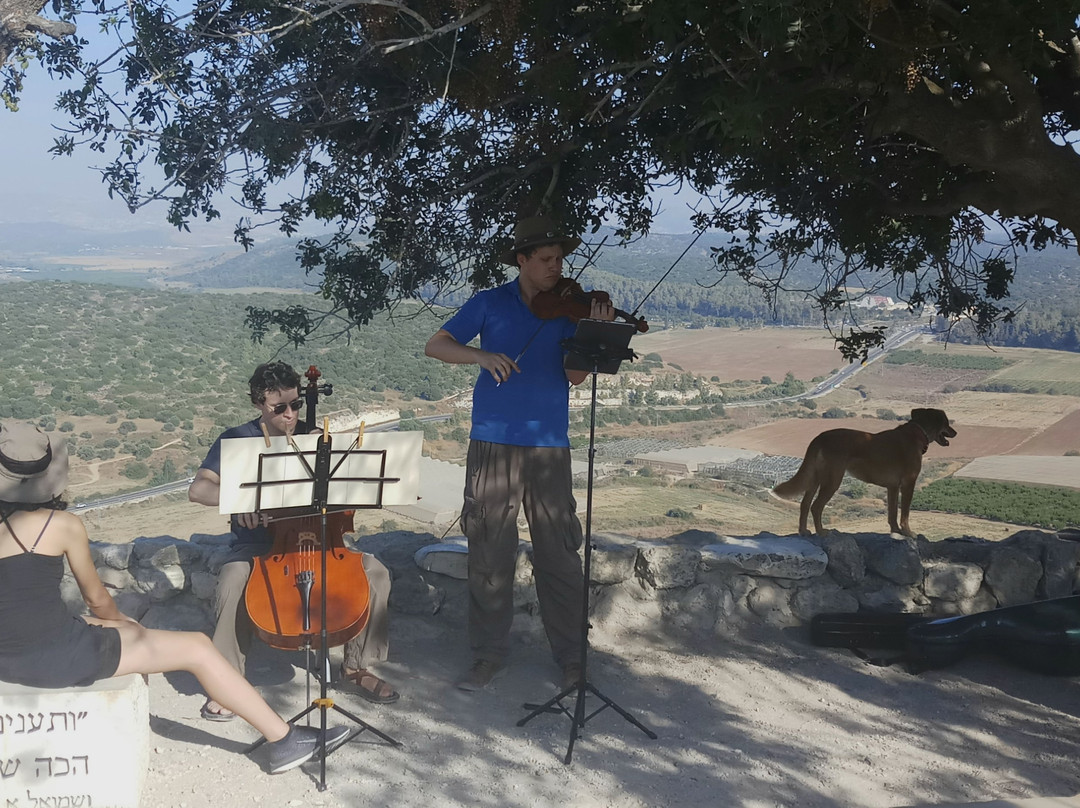 Tour de Sound-耶路撒冷必去景点