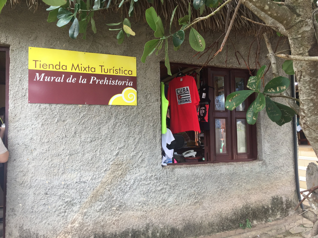 Palenque de los Cimarrones-维纳勒斯必去景点