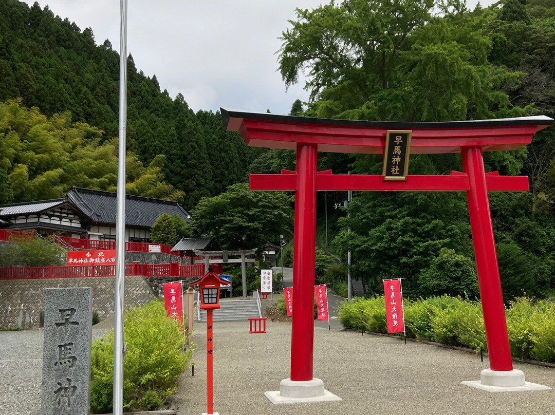 Hayama Shrine景点图片