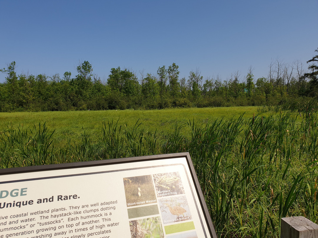 Northern Great Lakes Visitor Center景点图片