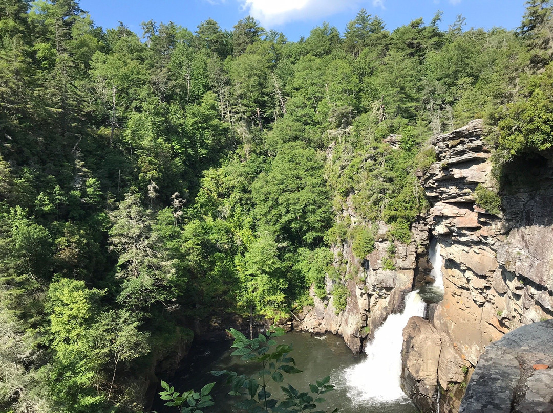 Linville Gorge Wilderness Area景点图片