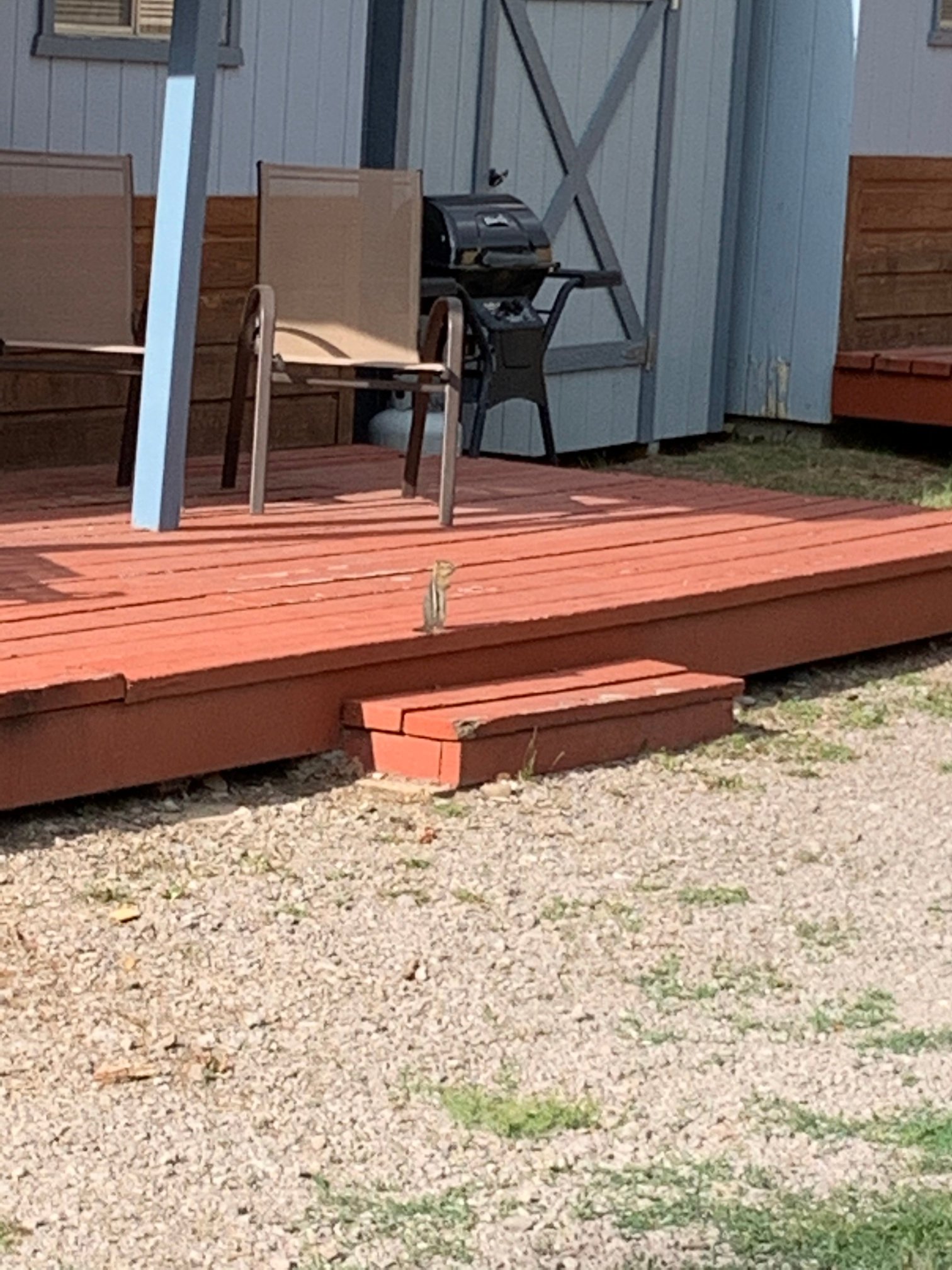 Lake City Lodge-官方