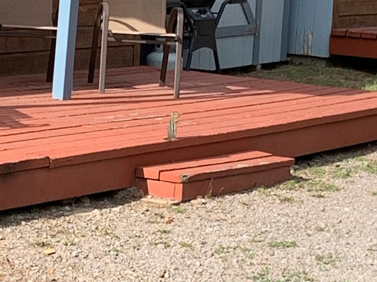 Lake City Lodge主图