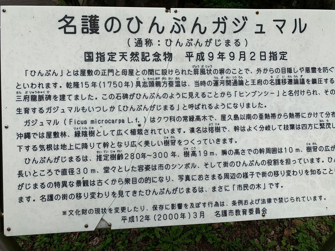 Nago Himpun Banyan Tree-名护市必去景点