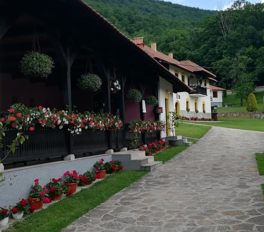 Monastery Vujan景点图片
