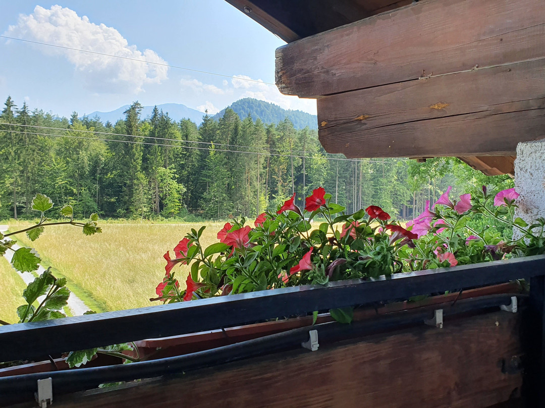 Waldpension Schiefling am See主图