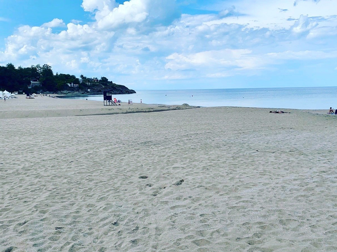 Oasis Beach Club主图