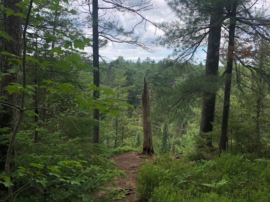 Two Rivers Trail-阿冈昆公园必去景点