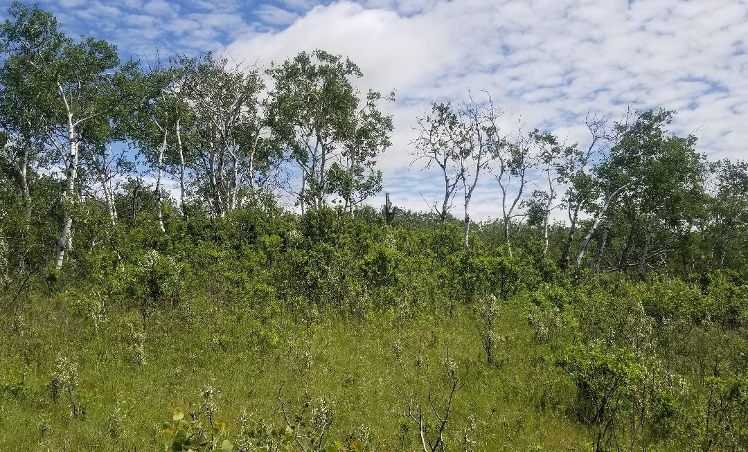 Douglas Provincial Park-Elbow必去景点