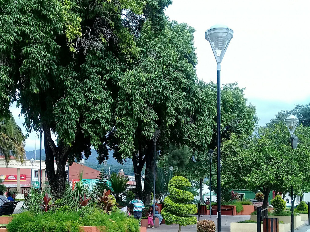 Plaza 12 De Agosto-Yacuiba必去景点