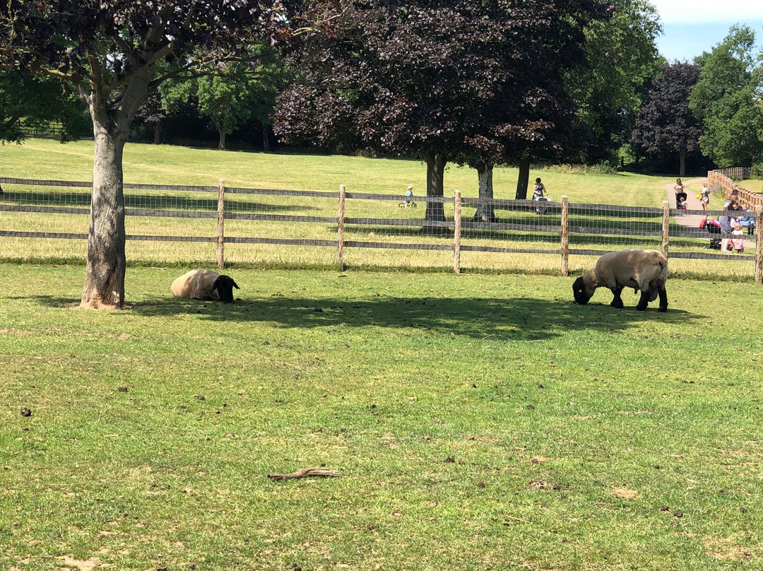 Harlow Town Park景点图片