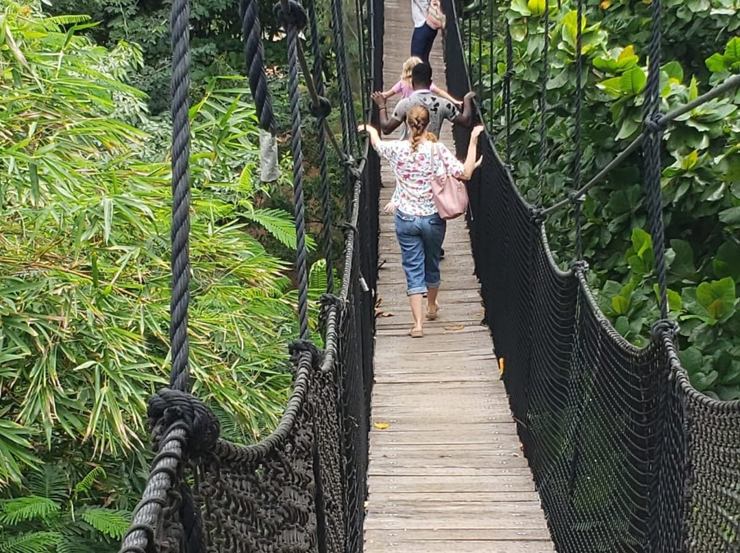 Legon Botanical Gardens-Legon必去景点