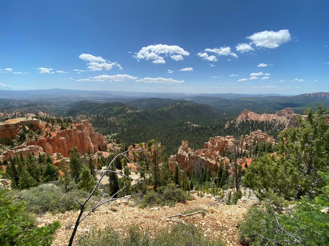 Bryce Canyon Scenic Tours-布莱斯峡谷城必去景点