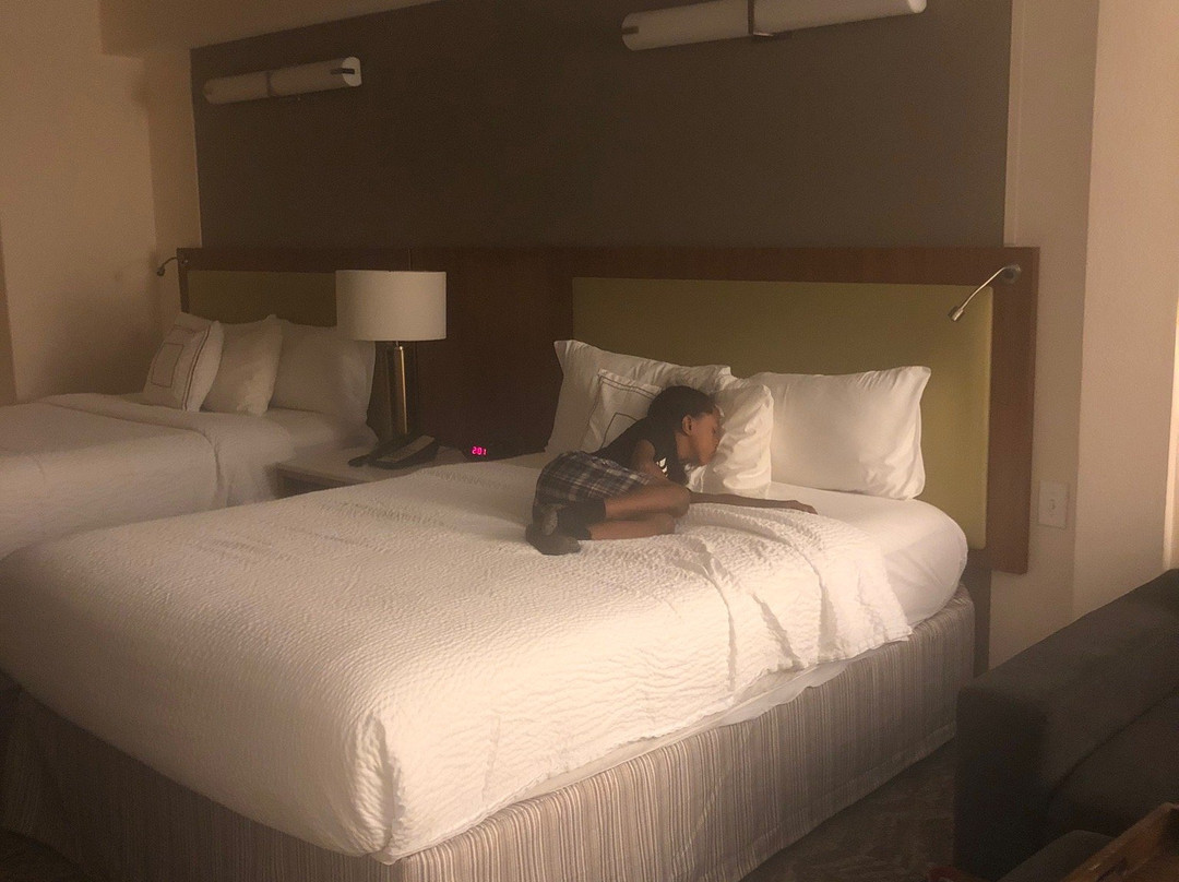 SpringHill Suites by Marriott Athens West主图