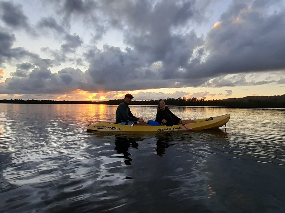Whale Tours Samana-Sabana de la Mar必去景点