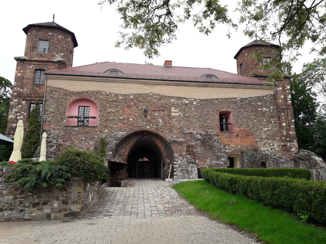 Toszek Castle-Toszek必去景点