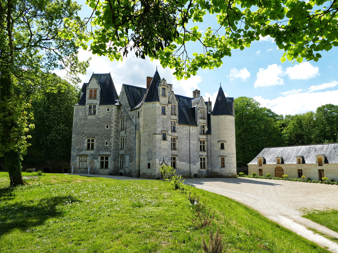 Chateau des Bretignolles景点图片