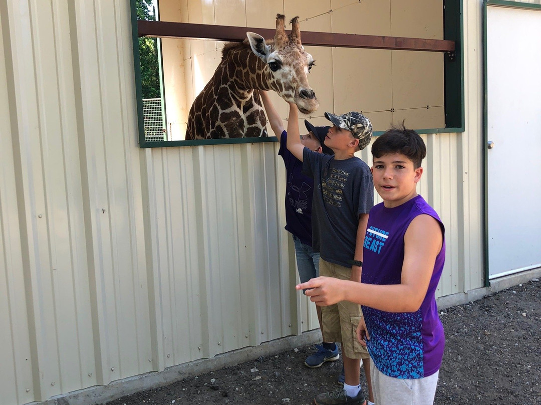 East Texas Gators and Wildlife Park-Grand Saline必去景点