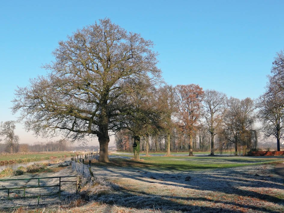 Natuurgebied Beekvliet-Borculo必去景点