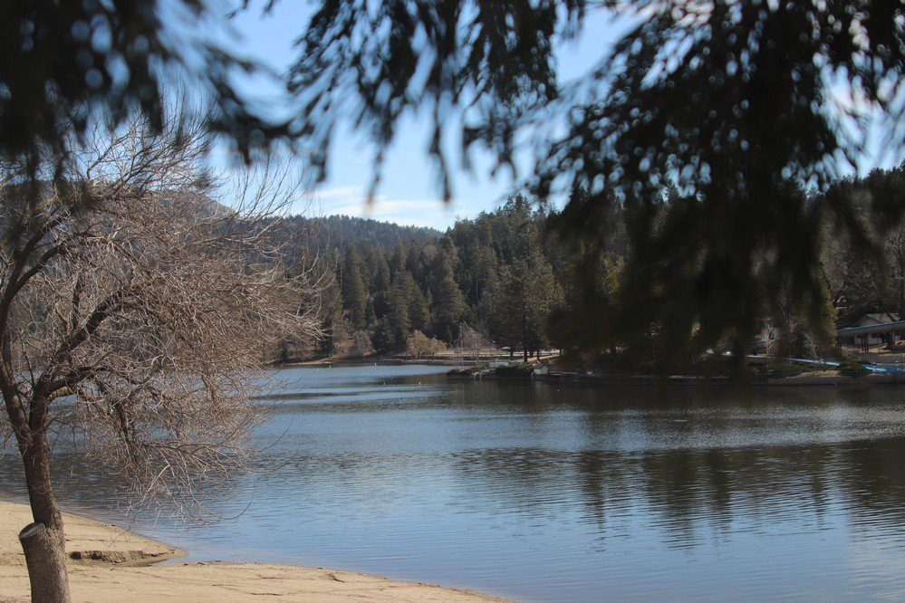 Lake Gregory Regional Park景点图片