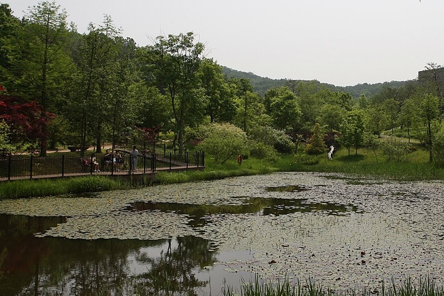 Hwanghaksan Arboretum