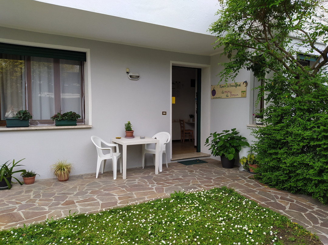 Dimora di Bosco Room & Breakfast主图