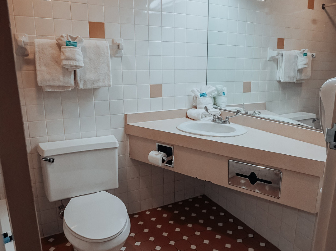 Lamplighter Inn & Suites North主图