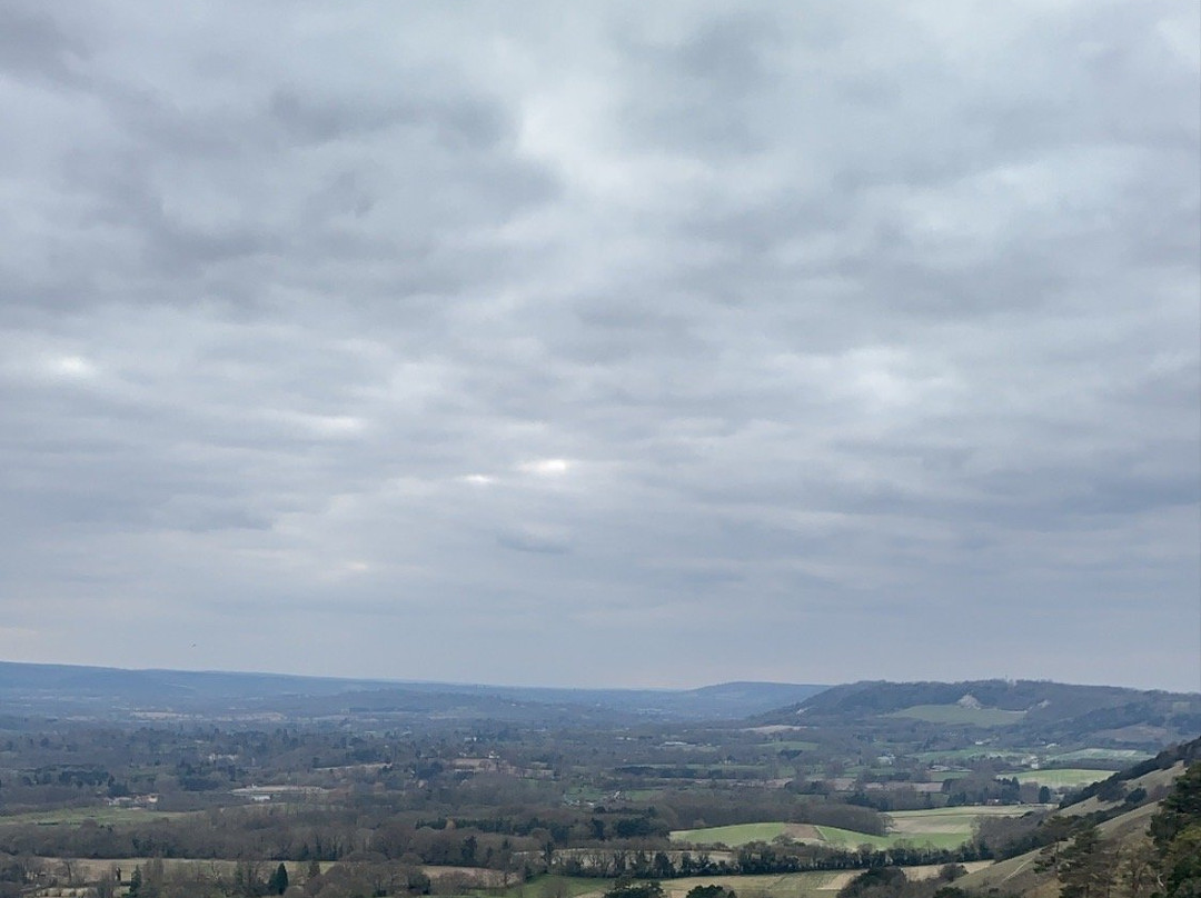 Reigate Hill景点图片